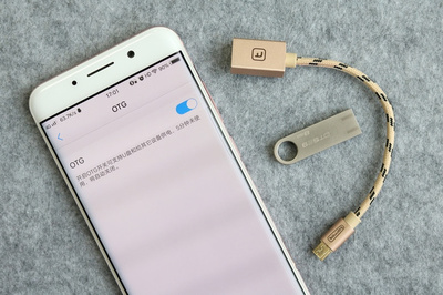 手機(jī)不支持插存儲卡？不怕，有OTG線的“優(yōu)美”幫忙
